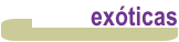 Flores Exoticas